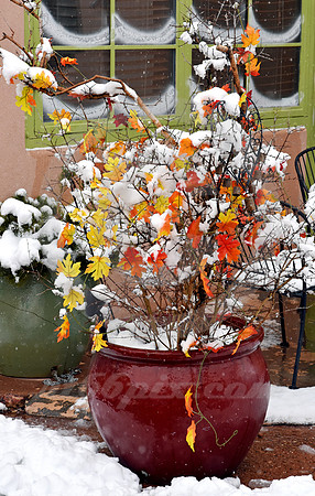 WINTER #254 (Rt 66 Santa Fe NM)