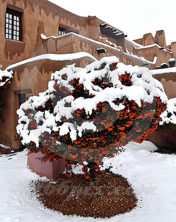 WINTER #255 (Rt 66 Santa Fe NM)