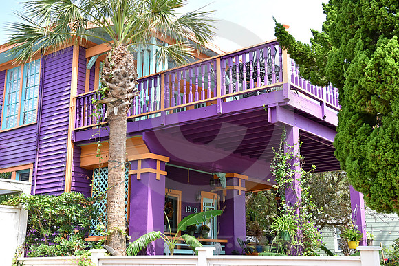 HISTORIC DISTRICT #107 (Galveston TX)