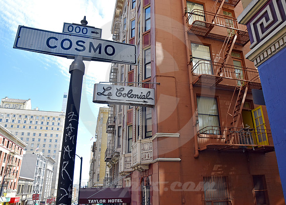 ARCHITECTURAL DETAIL #151 (Lincoln Highway San Francisco)