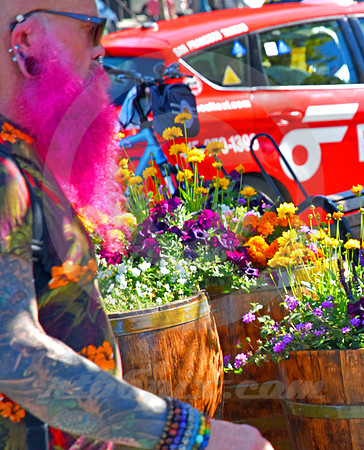 URBAN SCENE #454 (Lincoln Highway San Francisco)