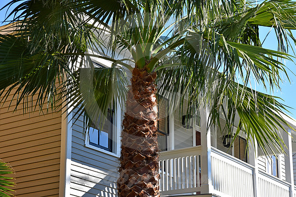 HISTORIC DISTRICT #115 (Galveston TX)