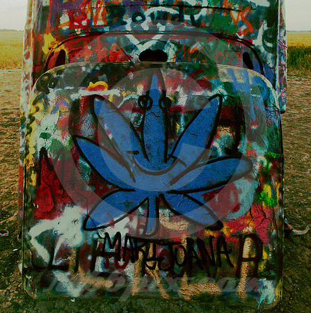 HAPPY MARIJUANA PLANT (Rt 66 Cadillac Ranch TX)