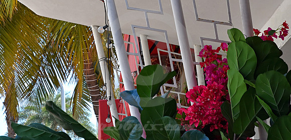 MIAMI BEACH #600 (Miami Beach FL)