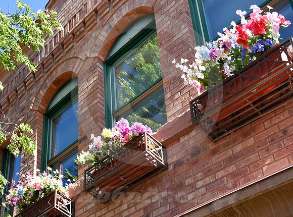 COLORADO ARCHITECTURE #231 (Basalt CO)