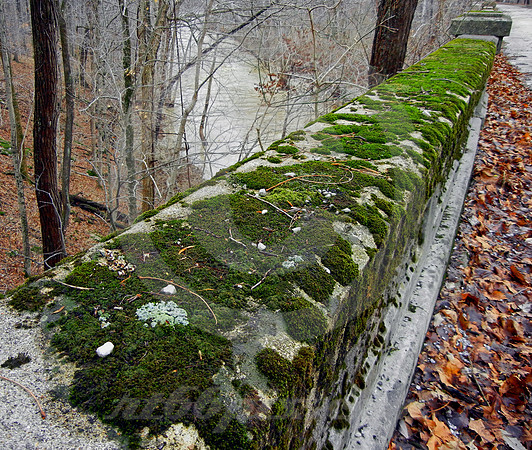 MOSS ON BRIDGE (National Road Western IN)