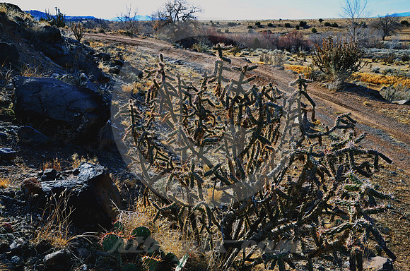 CURVE NEAR BOTTOM (Rt 66 La Bajada NM)
