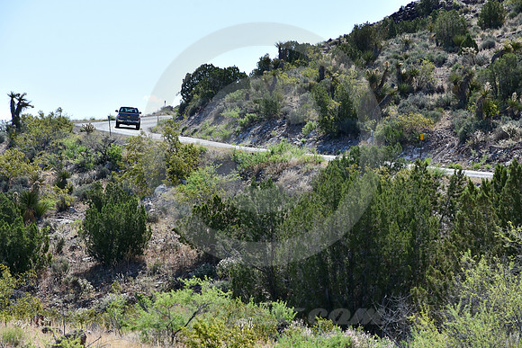 TUNDRA ON CURVE (Rt 66 Oatman AZ)