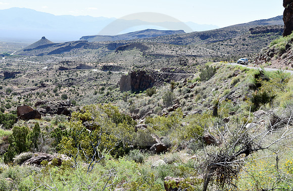 BEND WITH A VIEW (Rt 66 Oatman AZ)