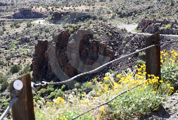 DISTANT BIKE (Rt 66 Oatman AZ)