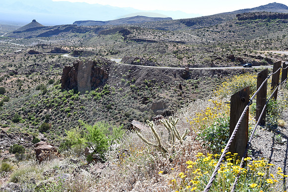 DESERT VISTA (Rt 66 Oatman AZ)