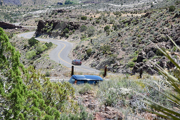 HEAVY TRAFFIC (Rt 66 Oatman AZ)