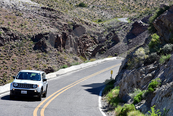 ONCOMING JEEP (Rt 66 Oatman AZ)