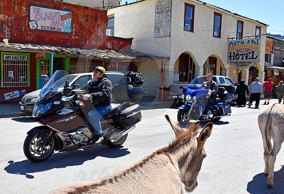 DOWNTOWN TRAFFIC #2 (Rt 66 Oatman AZ)