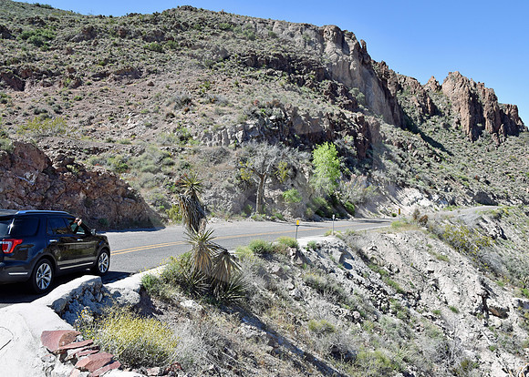 SNAPSHOOTER (Rt 66 Oatman AZ)
