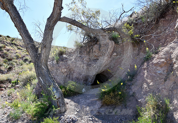 CAVE (Rt 66 Oatman AZ)