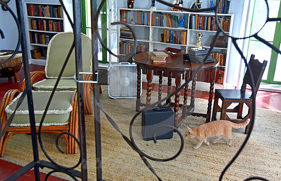 HEMINGWAY #11 (Key West FL)