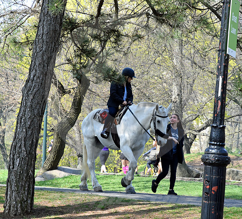 CENTRAL PARK #64 (New York)