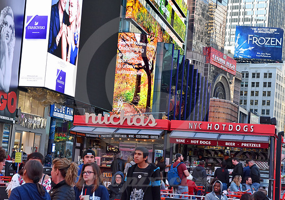 TIMES SQUARE #1017 (Lincoln Highway New York)
