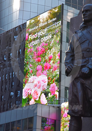 TIMES SQUARE #1021 (Lincoln Highway New York)