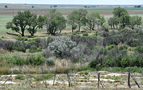 BENT'S NEW FORT #4 (nr Las Animas CO)