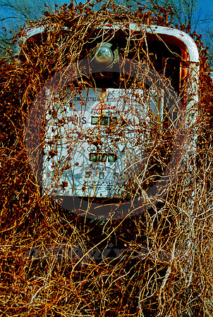 GAS PUMP & VINES #1 (West TX)