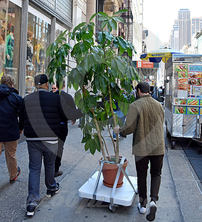 LOWER MANHATTAN #129 (New York)