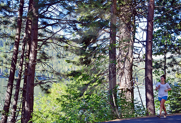 JOGGER (Lincoln Highway Donner Lake CA)