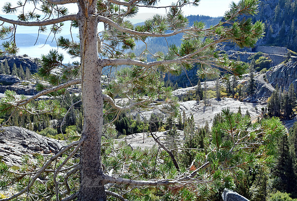 TREE, LAKE & ROADS (Lincoln Highway Donner Pass CA)