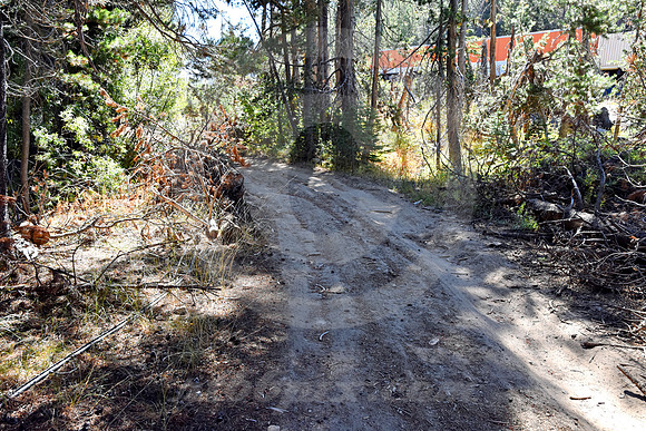 ROAD & TRAIN #1 (Lincoln Highway nr Donner Pass CA)