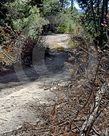 WAGON ROAD #2 (Lincoln Highway nr Donner Pass CA)