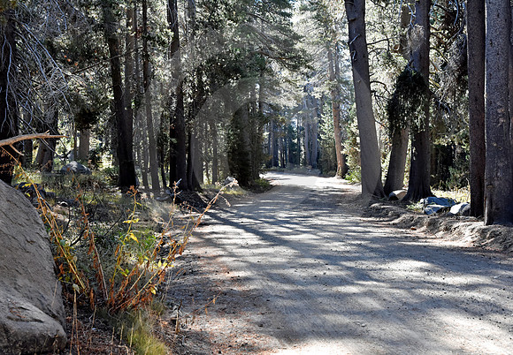 WAGON ROAD #4 (Lincoln Highway nr Donner Pass CA)