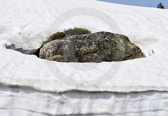 MELTING AWAY #3 (Lincoln Highway Donner Pass CA)