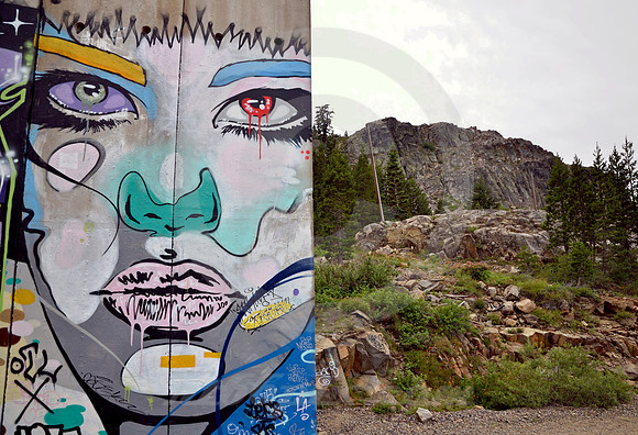 GRAFFITI & SCENERY #1 (Donner Pass CA)