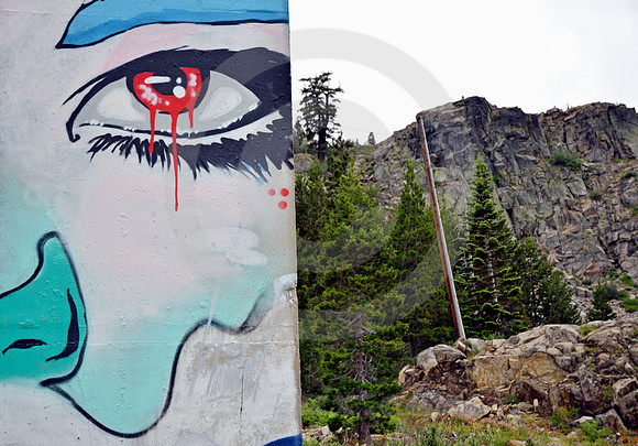 GRAFFITI & SCENERY #2 (Donner Pass CA)