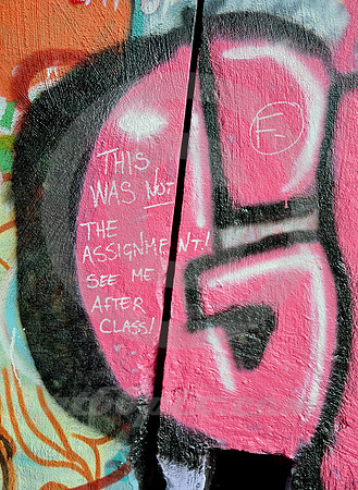 GRAFFITI #2 (Donner Pass CA)