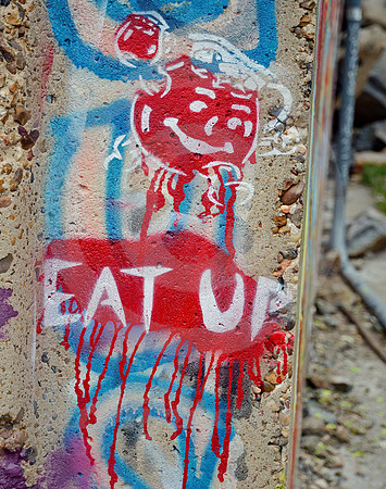 GRAFFITI #3 (Donner Pass CA)