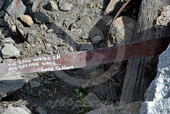 WISDOM FROM DEBRIS (Donner Pass CA)