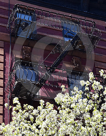LOWER MANHATTAN #144 (New York)