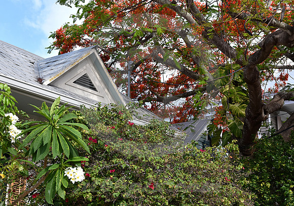 KEY WEST #51 (Key West FL)