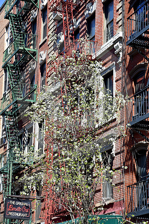 LOWER MANHATTAN #154 (New York)