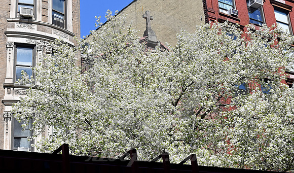 LOWER MANHATTAN #157 (New York)