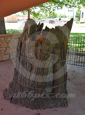COUNCIL OAK (Council Grove KS)