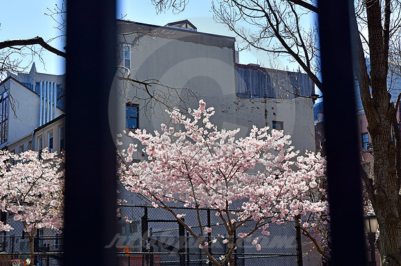 MIDTOWN #280 (New York)