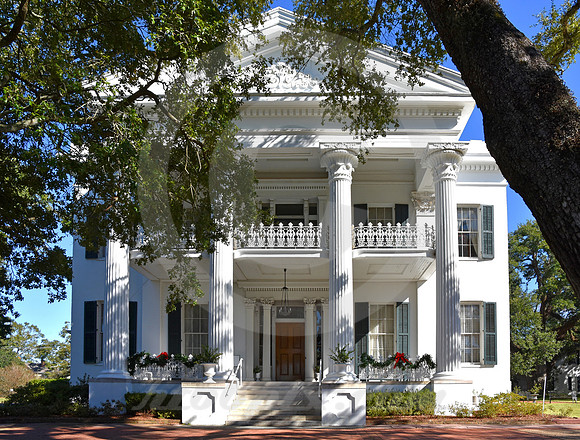 STANTON HALL #16 (Natchez Trace Natchez MS)