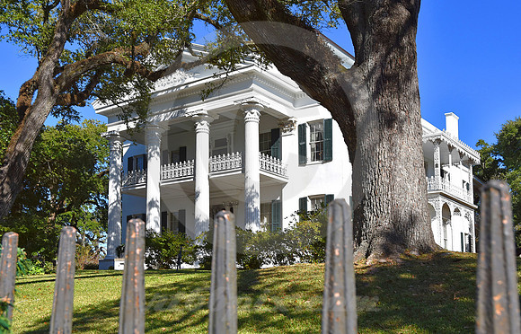STANTON HALL #6 (Natchez Trace Natchez MS)