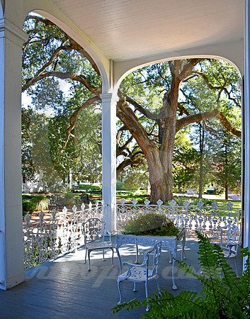 STANTON HALL #17 (Natchez Trace Natchez MS)