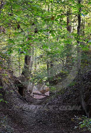 BLOCKED (Natchez Trace nr Port Gibson MS)