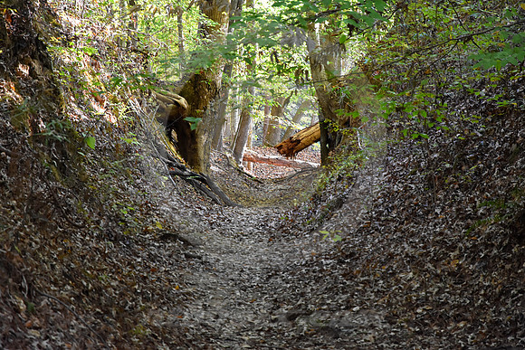 SUNKEN & BLOCKED (Natchez Trace nr Port Gibson MS)