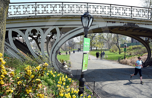 CENTRAL PARK #74 (New York)